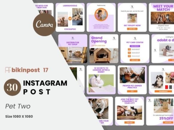 Download Pet Two Canva Instagram Post Template - Canva instagram post Collection